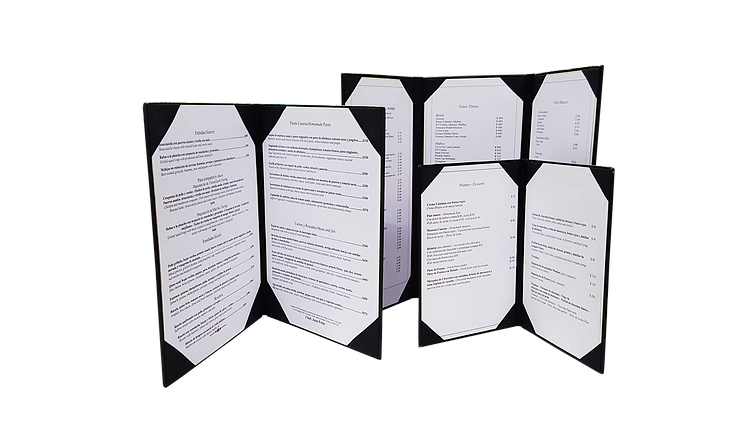 Carta Paneles